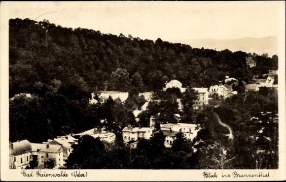 Postcard Bad Freienwalde an der Oder, view into the Brunnenthal, city view, many trees, buildings