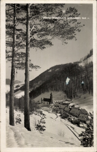 Ak Annaberg Buchholz Erzgebirge, Pöhlberg, verschneite Landschaft mit Nadelbäumen, Häusern und...