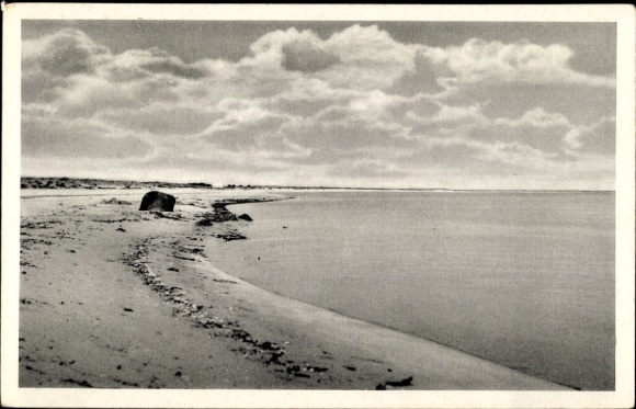 Postcard Ostseebad Prerow on the Darß, Prerowbucht