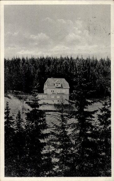 Postcard Tanne Oberharz am Brocken, Pension and Cafe Sanssouci