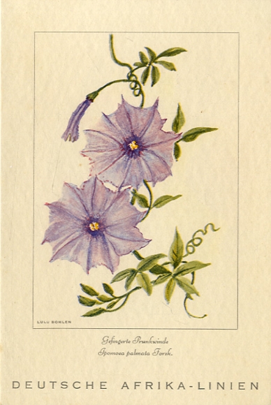 Artist menu card Bohlen, Lulu, steamer Usaramo, March 15, 1939, main meal, morning glory