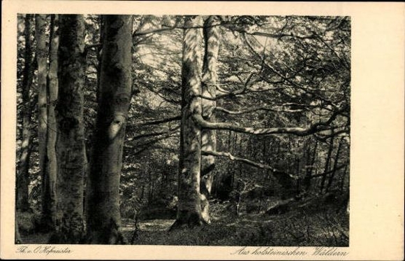 10 old PCs Holm in Holstein, in the Holm, various views