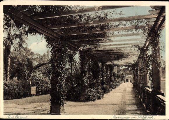 Postcard Bad Pyrmont in Lower Saxony, rose walk at the castle pond