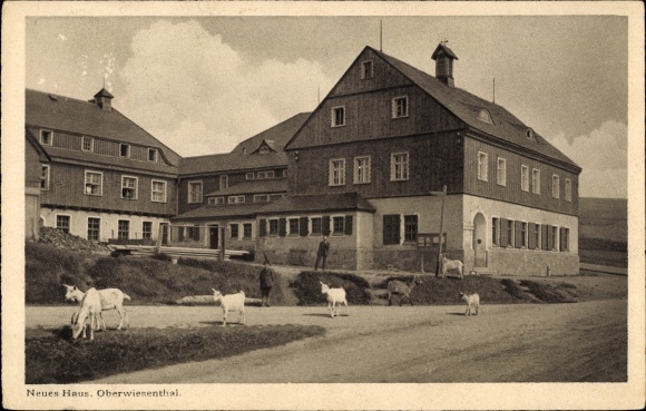 Ak Oberwiesenthal im Erzgebirge Sachsen, Neues Haus, Ziegen