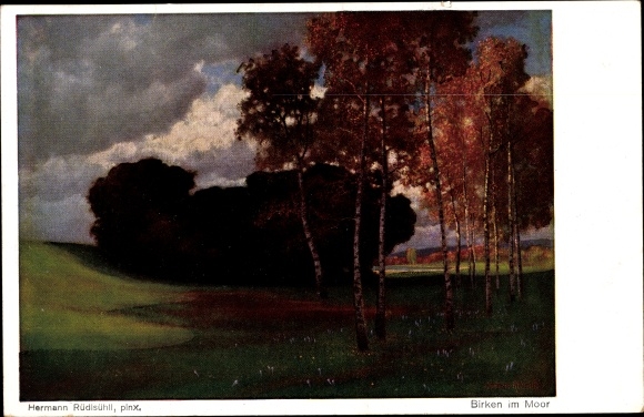 Artist Postcard Rüdisühli, Hermann, Birches in the Moor