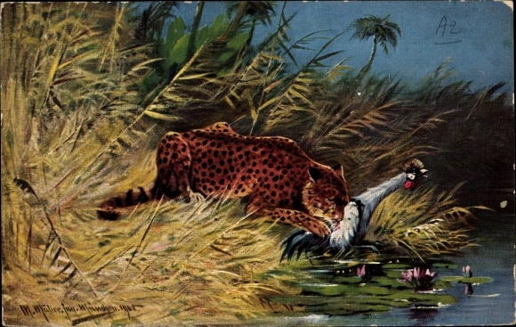 Artist Postcard Müller, M. jun., Cheetah with killed bird