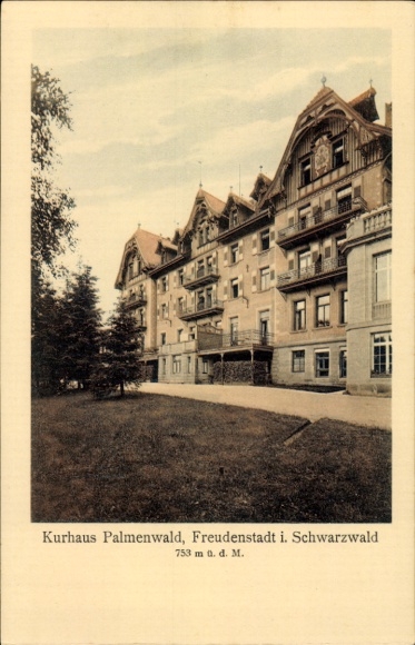 Postcard Freudenstadt in the Black Forest, Kurhaus Palmenwald