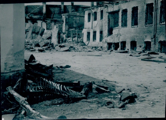 Photo Zhytomyr Ukraine, Destroyed buildings, Skeletons