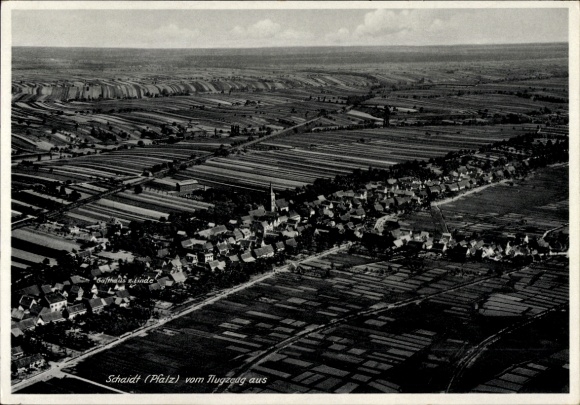 Ak Schaidt Wörth am Rhein in der Pfalz, Luftaufnahme von Schaidt, Ackerlandschaft, kleine Stadt, 
