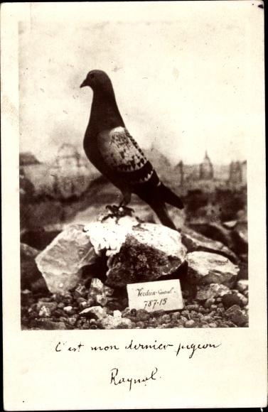 Postcard This is my last pigeon, Raynal, Brieftaube, I. WK