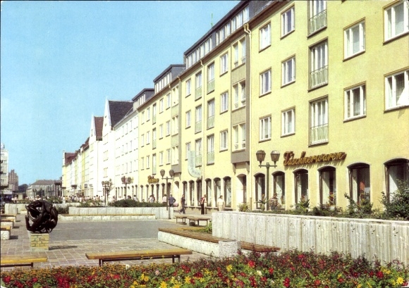 Ak Neubrandenburg in Mecklenburg, Wohnen, Stadtansicht, Gelbe Gebäude, Bänke, Blumenbeete, Sku...