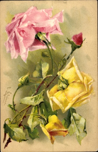 Embossing Artist Chromo-Litho Klein, C., Roses, Buds