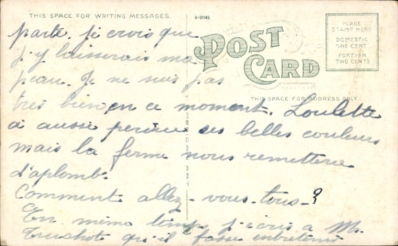Postcard Florida USA, Alligator eggs hatching, schlüpfende Alligatoren