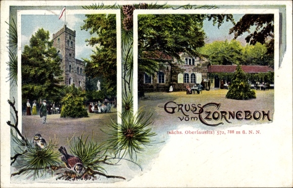 Postcard Cunewalde in the district of Bautzen, inn, owner Ernst Kalauch, observation tower, Czorneboh