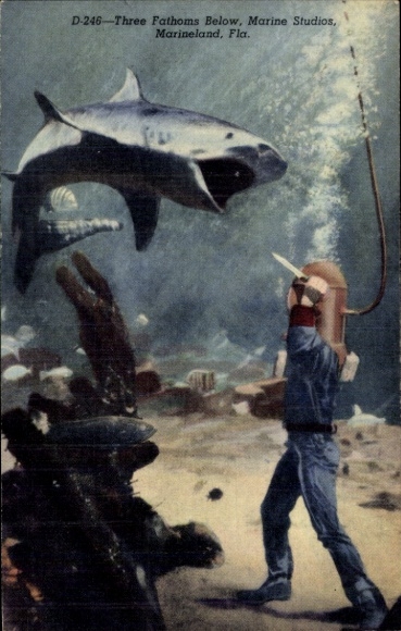 Postcard Florida USA, Marineland, Marine Studios, Diver fends off shark attack