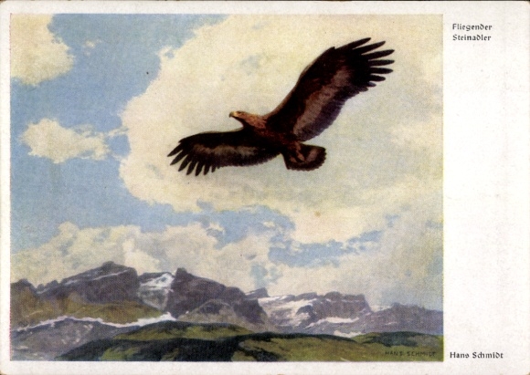 Artist Postcard Schmidt, Hans, Flying Golden Eagle