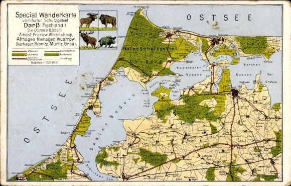 Maps Postcard Darß, special hiking map, protected area, Baltic Sea resorts