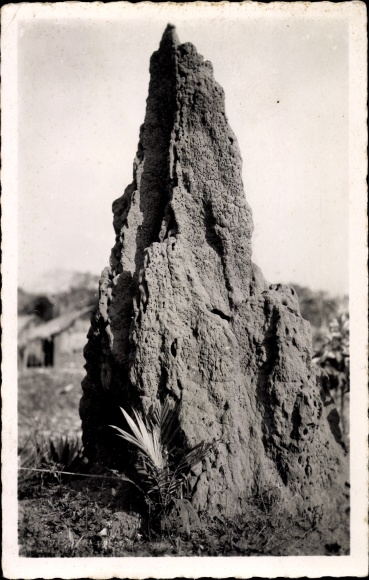 Postcard Moyen Congo French Congo, Termitiere