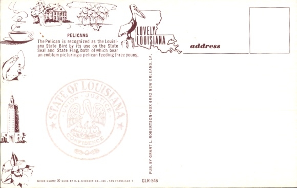Postcard Louisiana USA, Pelicans