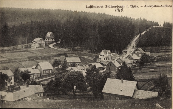 Postcard Stutzerbach Ilmenau Thuringian Forest, partial view, capercaillie ascent