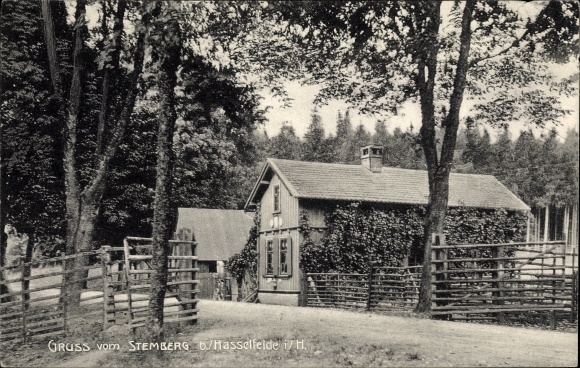 Ansichtkaart Hasselfelde Oberharz am Brocken, kavel te Sternberg
