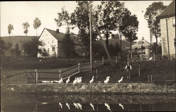 Foto Ak Dorfhain in Sachsen, Ortsansicht, Gänse, Bauer