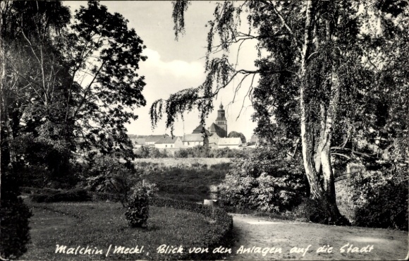 Ak Malchin in Mecklenburg, Malchin Meckl, Stadtansicht mit Kirche, Bäume und Parkanlage