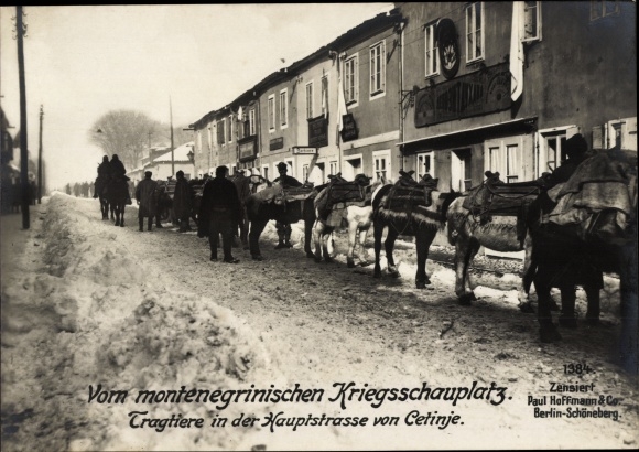 KP Цетиње Cetinje Czarnogóra, juczne zwierzęta, główna ulica, osły, front wschodni, I wojna światowa