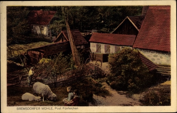 Postcard Bremsdorf Schlaubetal Brandenburg, Bremsdorfer Mühle, sheep