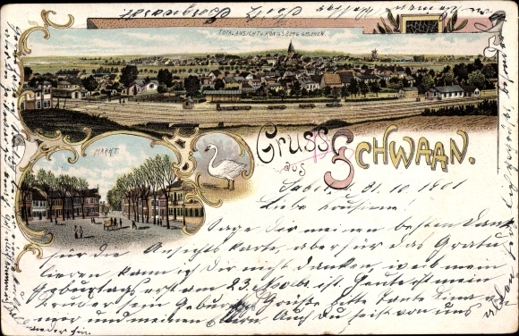 Chromo-Litho swan in Mecklenburg Vorpommern, total view v. Königsberg seen, Markt