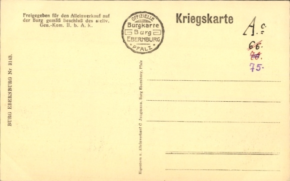 Artist Postcard Bad Münster am Stein, Ebernburg Castle