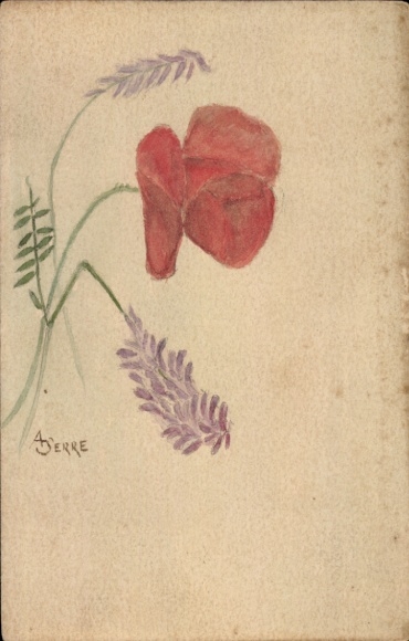 Hand painted picture poppy blossom, grasses