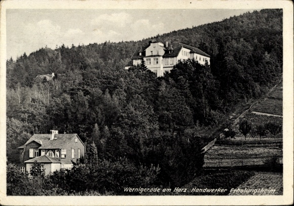 Ak Signalfichte Drei Annen Hohne Wernigerode am Harz, Handwerker Erholungsheim, Waldlandschaft, a