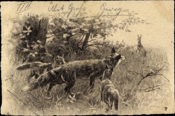 Artist Chromo-Litho Foxes, Foxes Family, Hare
