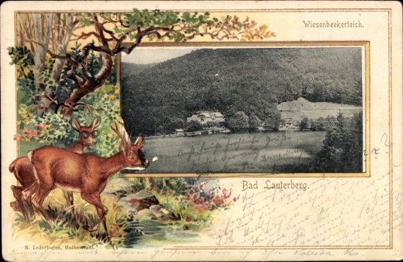 passe-partout in reliëf Ak Wiesenbek Bad Lauterberg im Harz, Wiesenbeker Teich