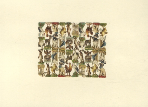 Wafer Block Cats, Dogs, Chickens, Rabbits, Birds, Size approx. 7.5 x 9.5 cm