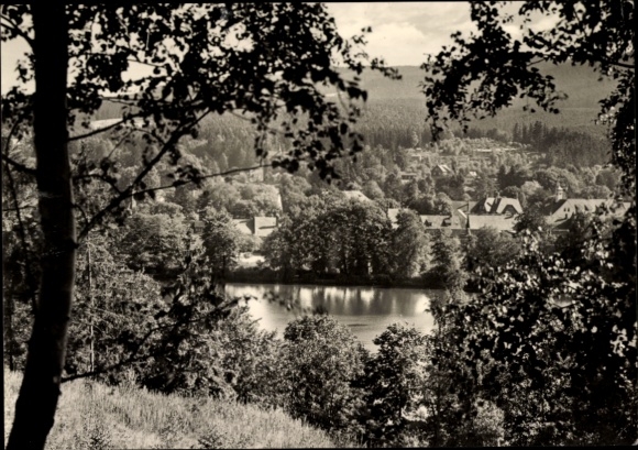 Ak Georgenthal in Thüringen, Landschaft mit Wald, Wasser und Häusern, Schwarz-Weiß-Foto
