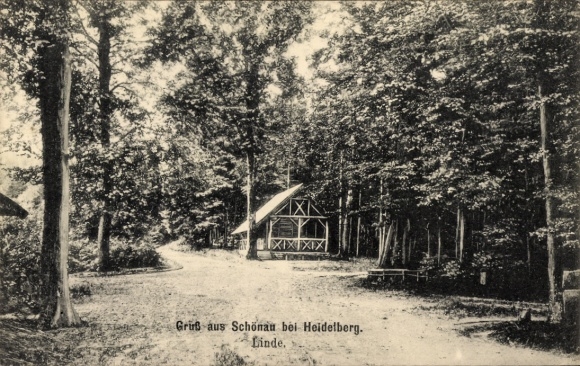 Postcard Schönau im Odenwald, forest area, linden tree