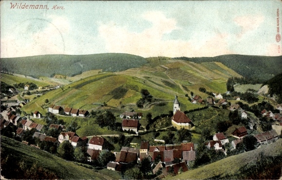 Ak Wildemann im Oberharz, Gesamtansicht mit Talblick