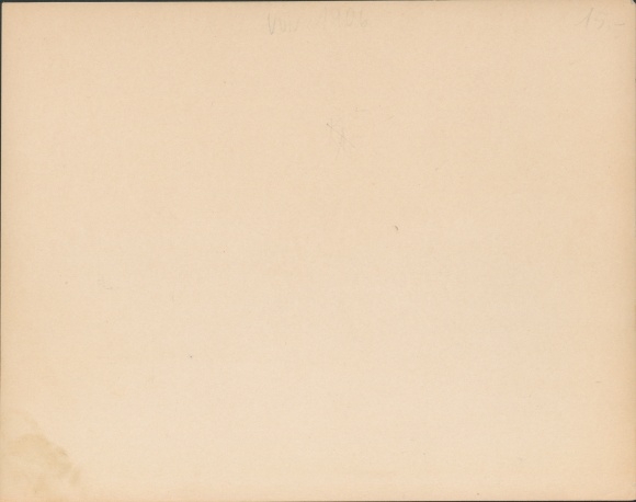 Photo Haarlem Nordholland Niederlande, New Cathedral, New Cathedral, NPG 18103