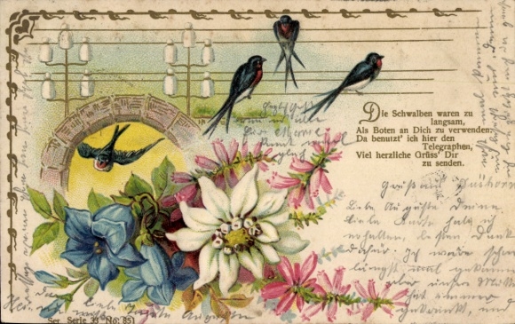 Embossing Chromo-Litho Edelweiss, Gentian, Swallows on a Power Line