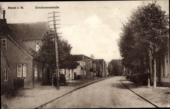 Ansichtkaart Horst in Holstein, Elmshornerstrasse
