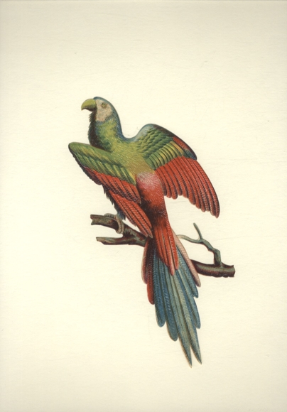 Wafer parrot / macaw sitting on a branch, size approx. 20.5 x 11 cm