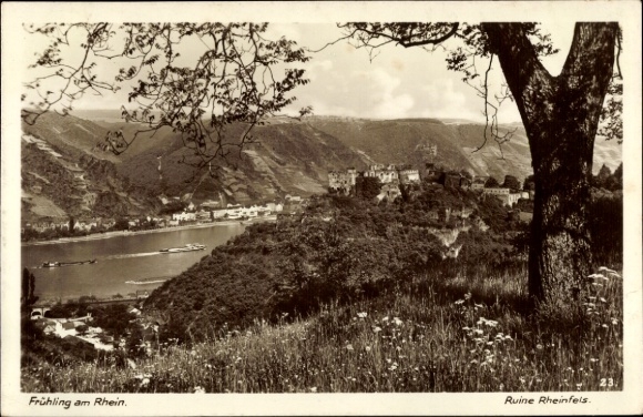 St. Goar am Rhein, Zamek Rheinfels, Panorama