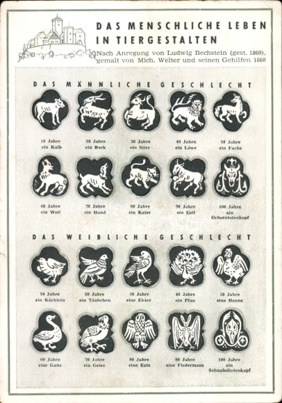 Postcard Ages of Life in Animal Form, Welter