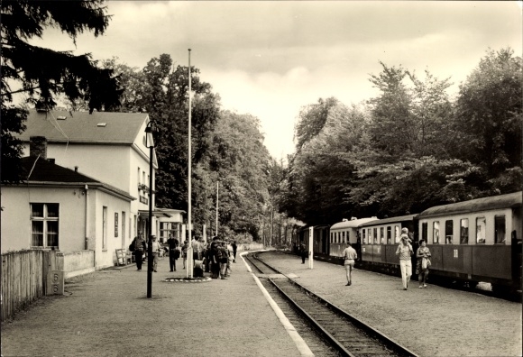 Ak Heiligendamm Bad Doberan, Bahnhof mit Bäderbahn Molli, Gleisseite
