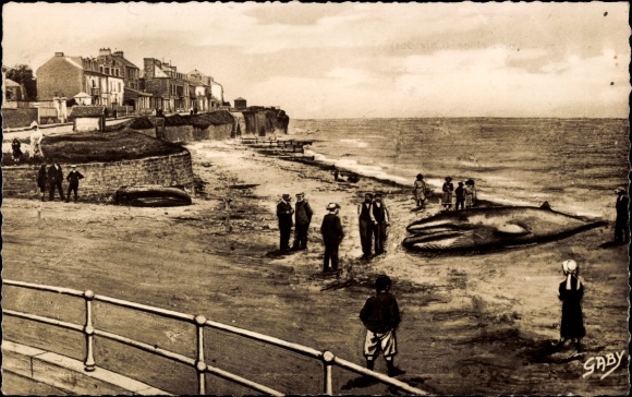 Postcard Luc sur Mer Calvados, Whale stranded on the Beach, gestrandeter Wal