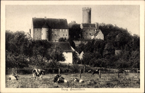 Ak Gnandstein Kohren Sahlis Frohburg in Sachsen, Burg, Kuhweide