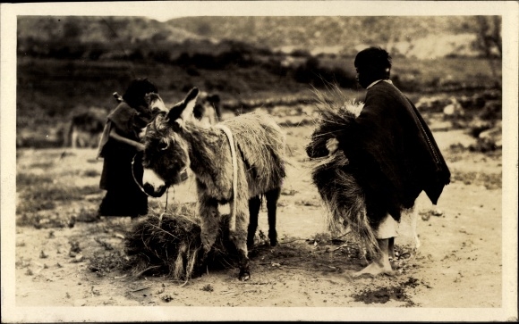 Photo Ecuador, Indians, Esel, a 1920