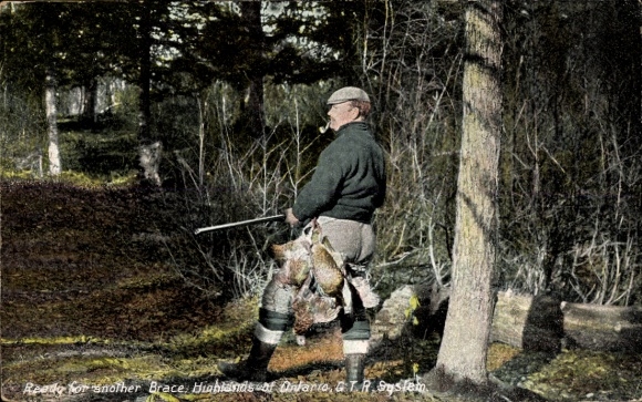 Postcard Hunter, Rifle, Hunting Prey, Killed Animals